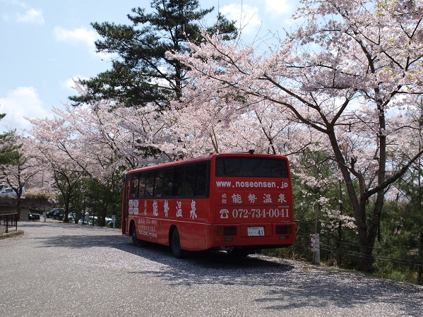バスと桜の花の景色